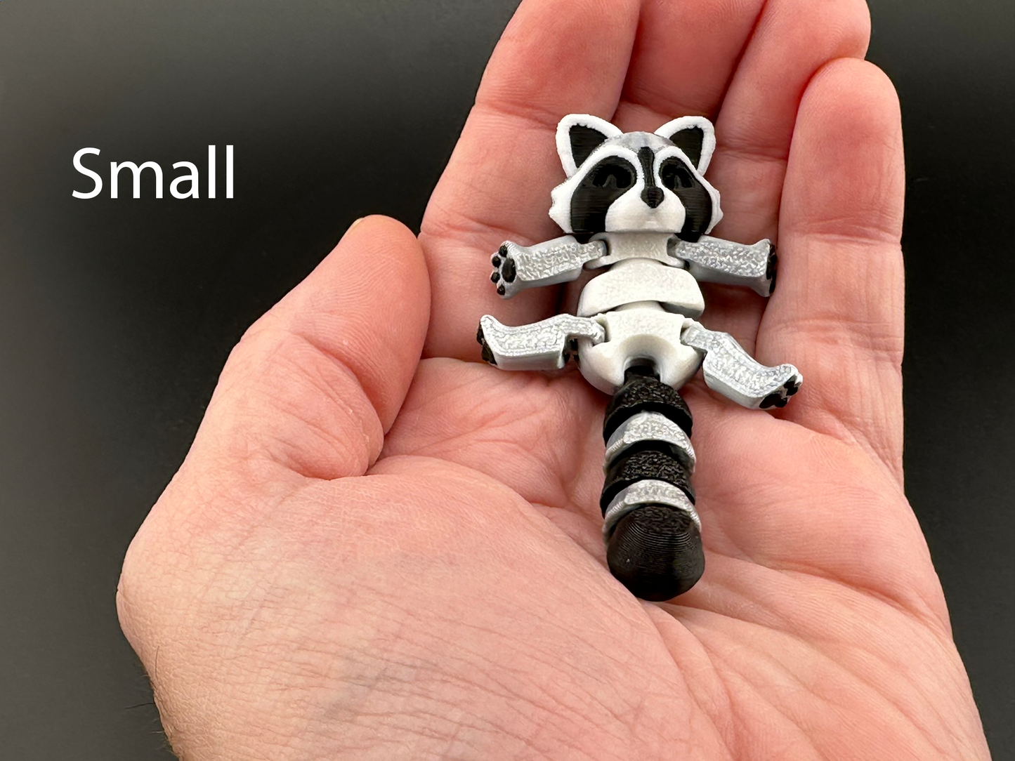 Adorable Articulating Raccoon