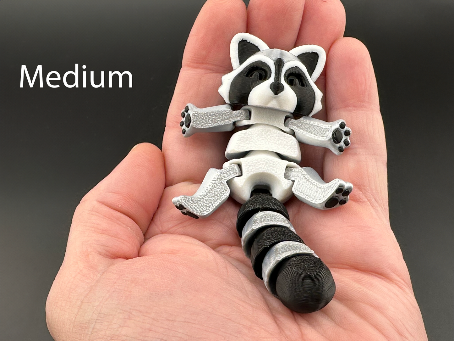 Adorable Articulating Raccoon