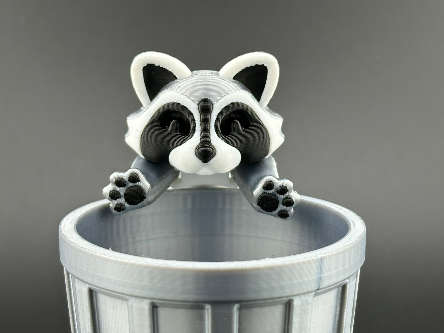Adorable Articulating Raccoon