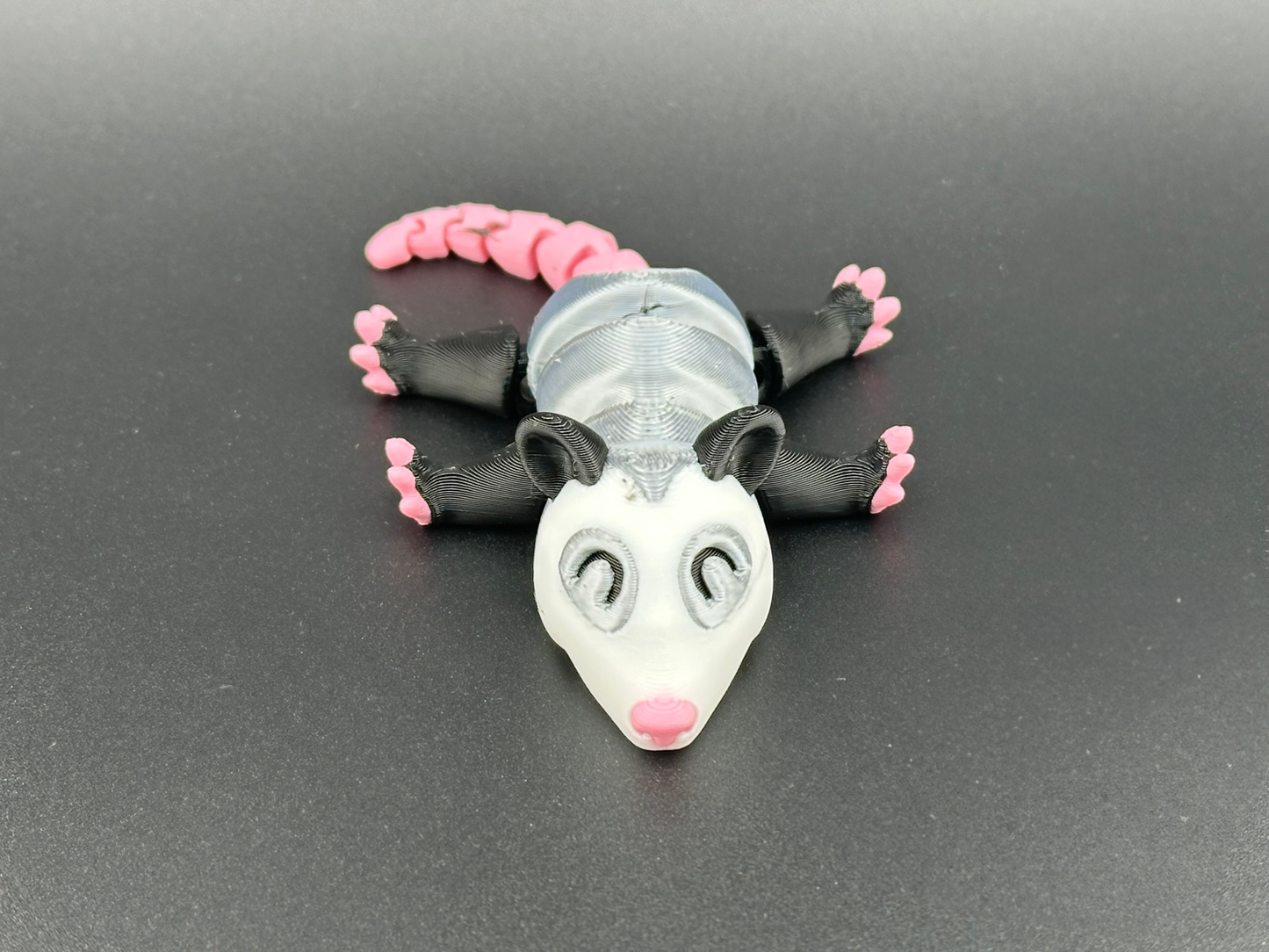 Opossum