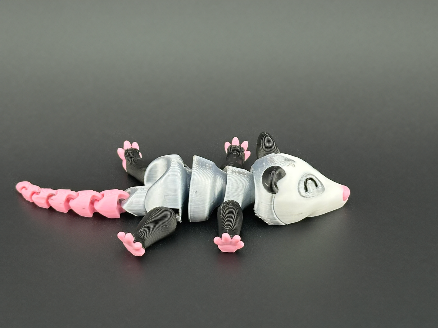 Opossum
