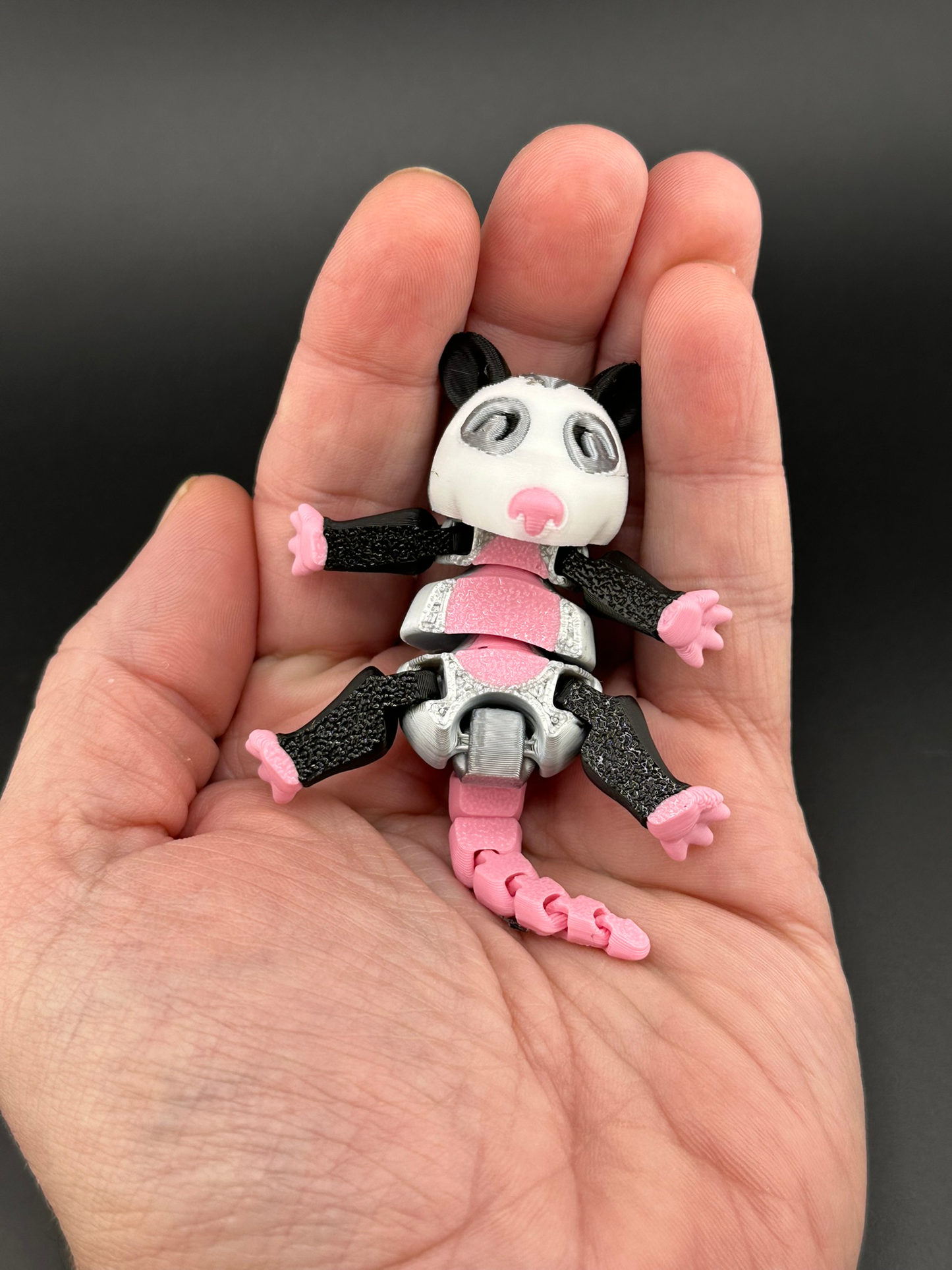 Opossum