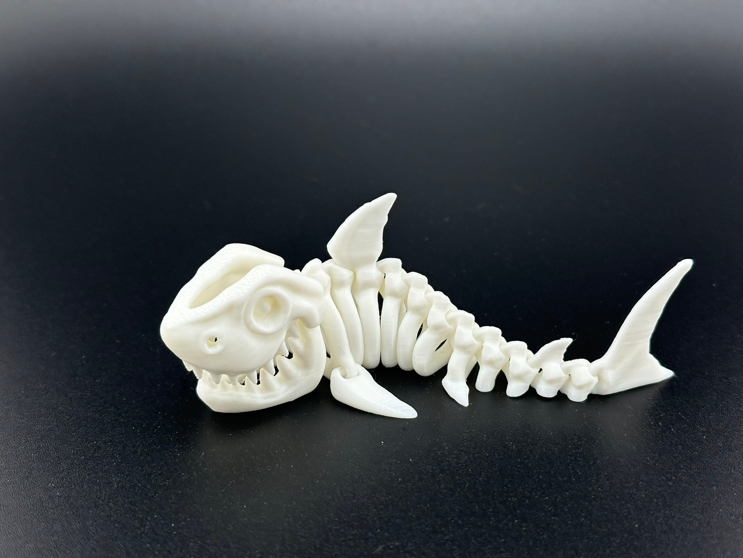 Flexi Skeleton Shark