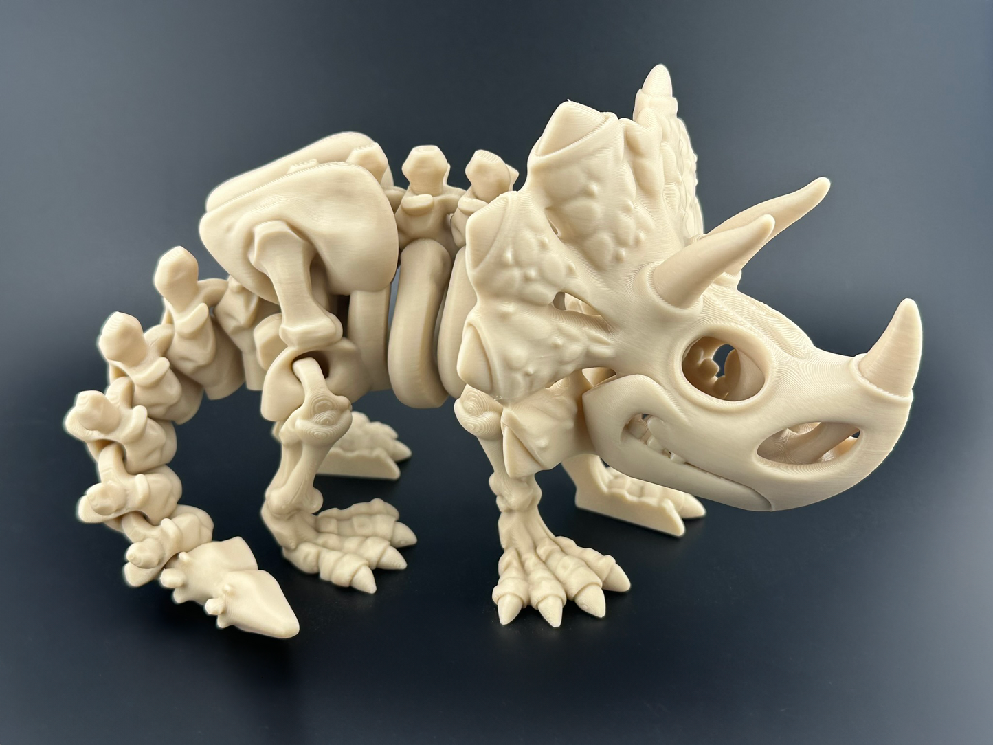 Flexi Triceratops Dinosaur Skeleton