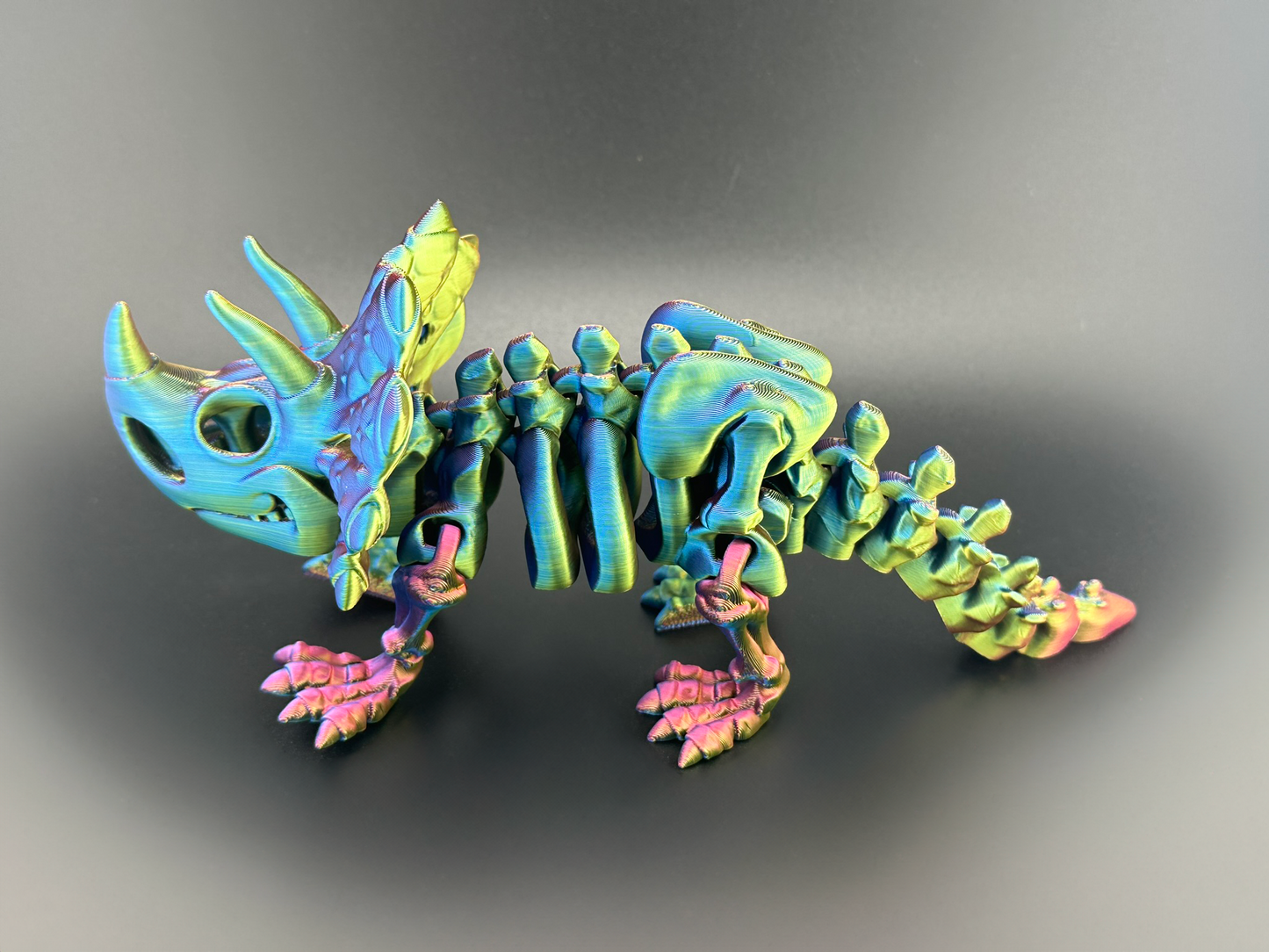 Flexi Triceratops Dinosaur Skeleton