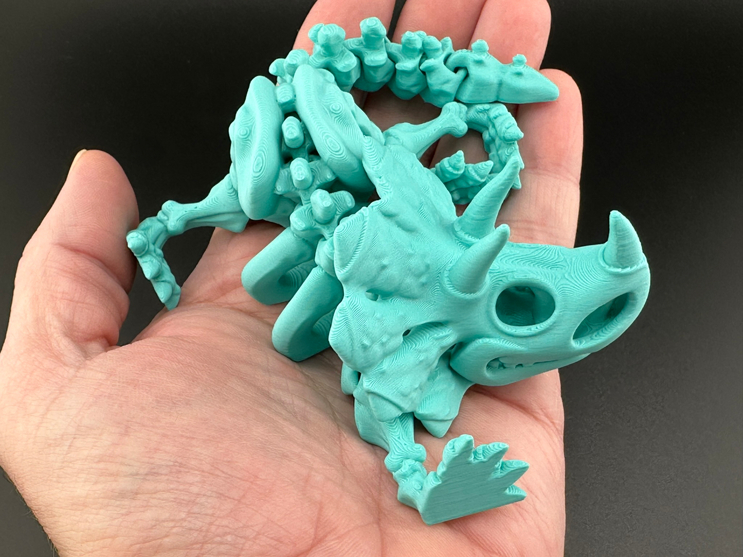 Flexi Triceratops Dinosaur Skeleton