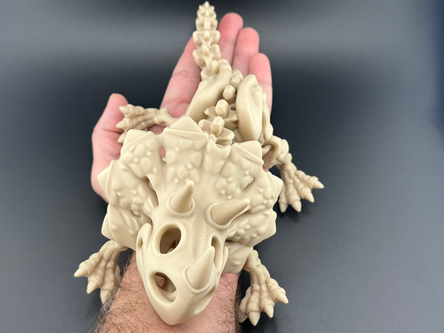 Flexi Triceratops Dinosaur Skeleton