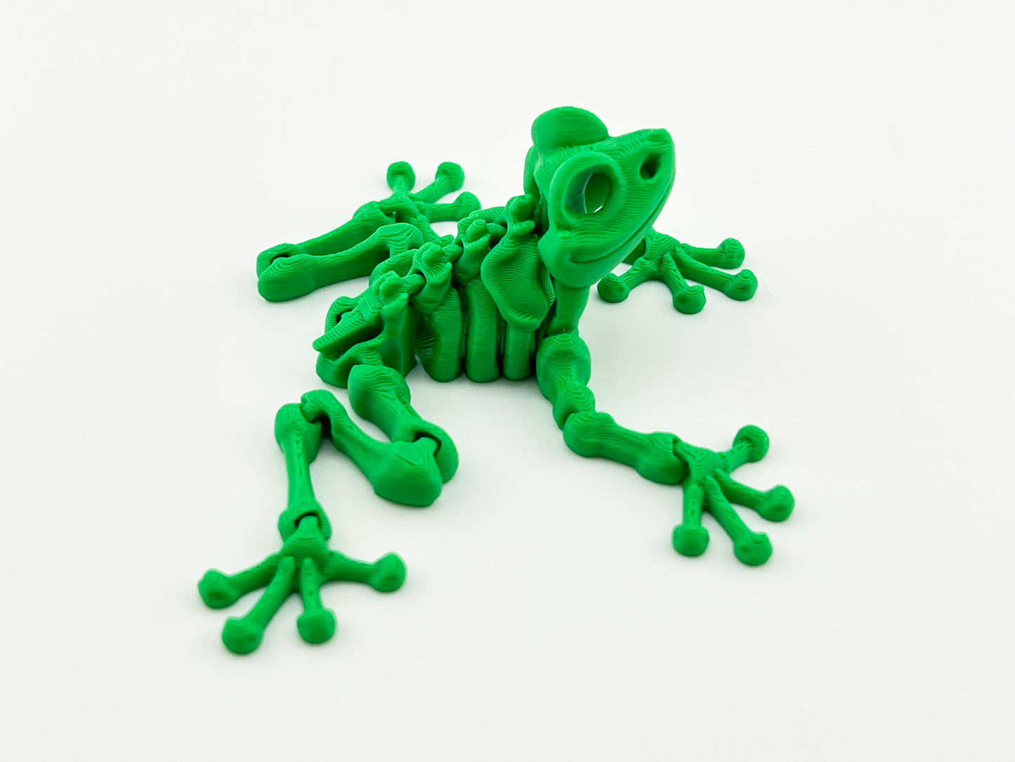 Skeleton Frog