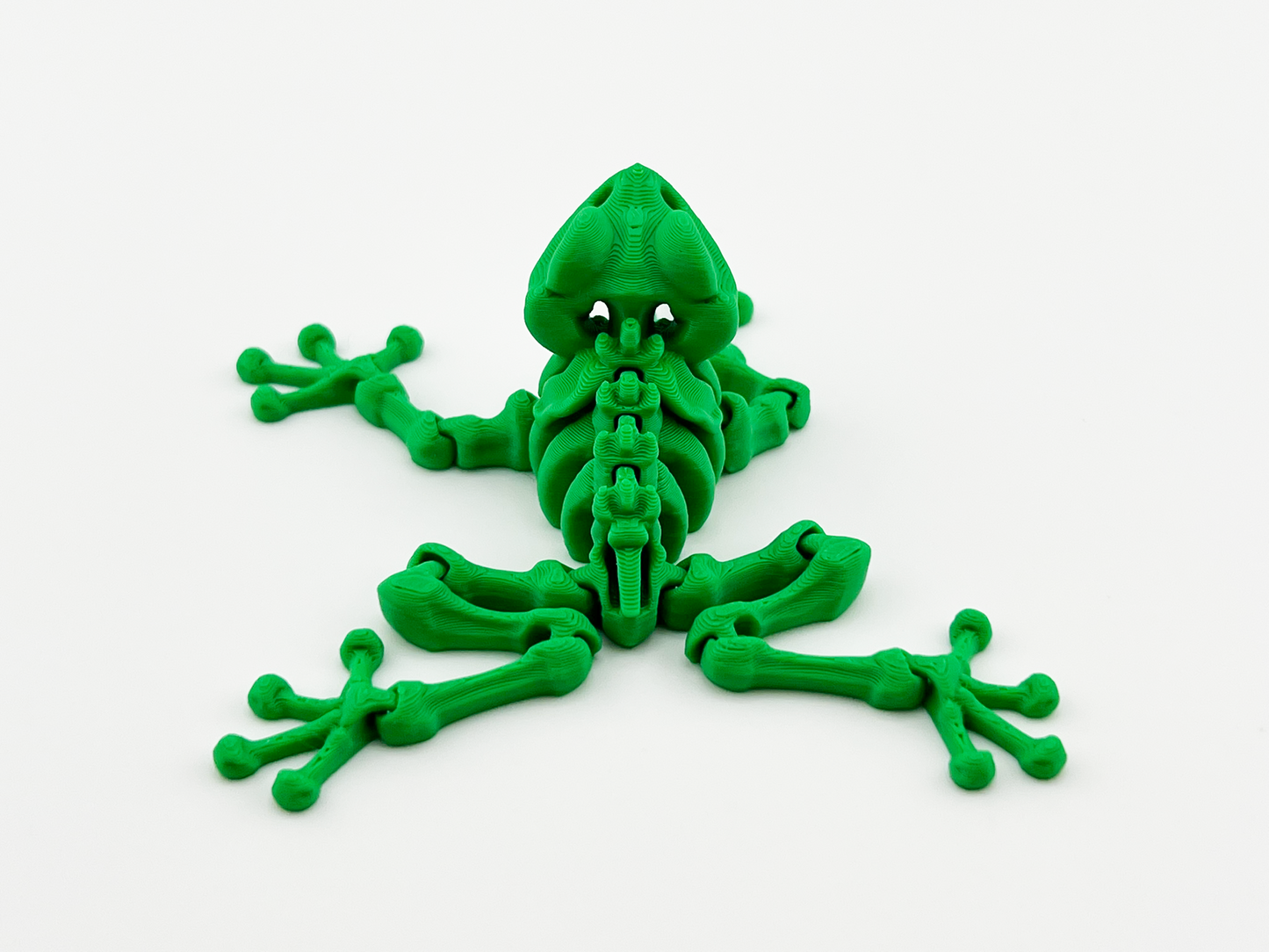 Skeleton Frog