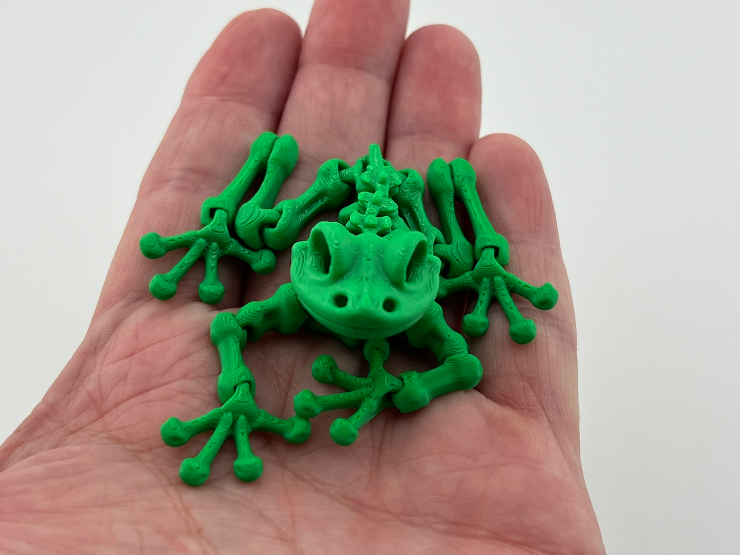 Skeleton Frog