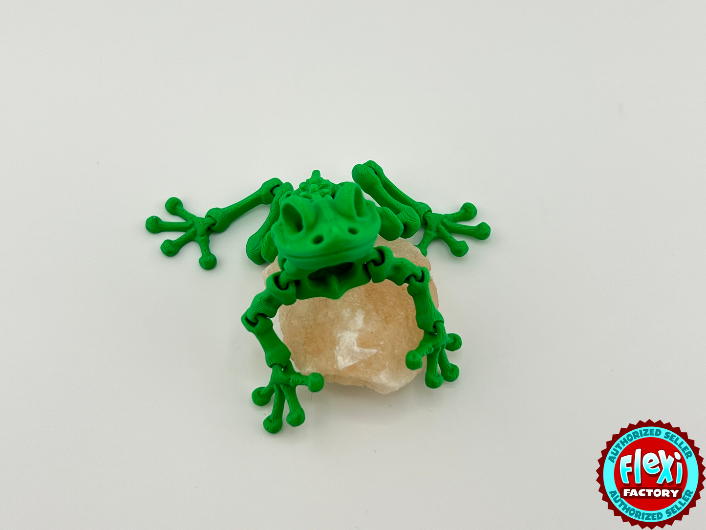 Skeleton Frog