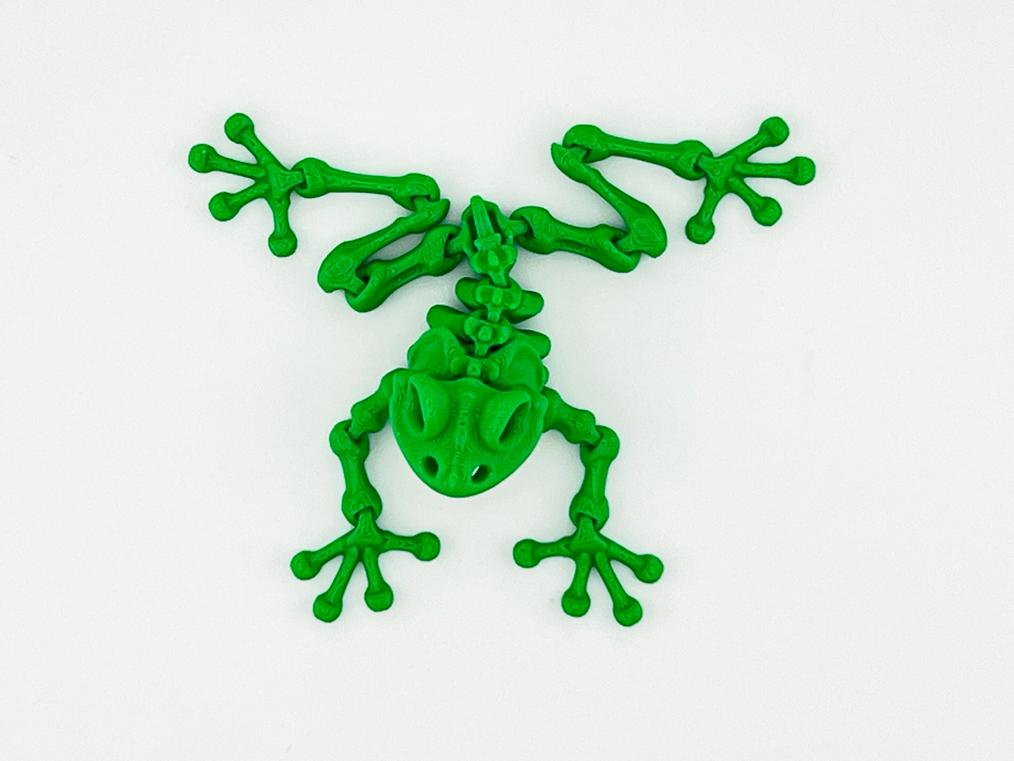 Skeleton Frog