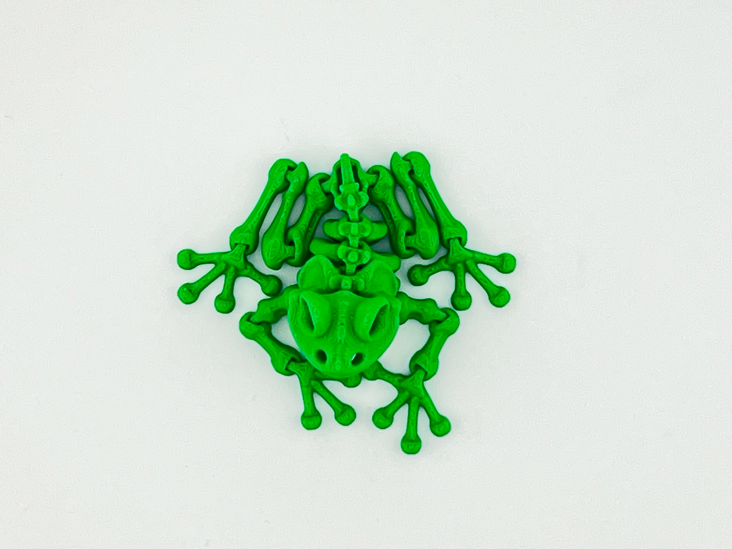 Skeleton Frog