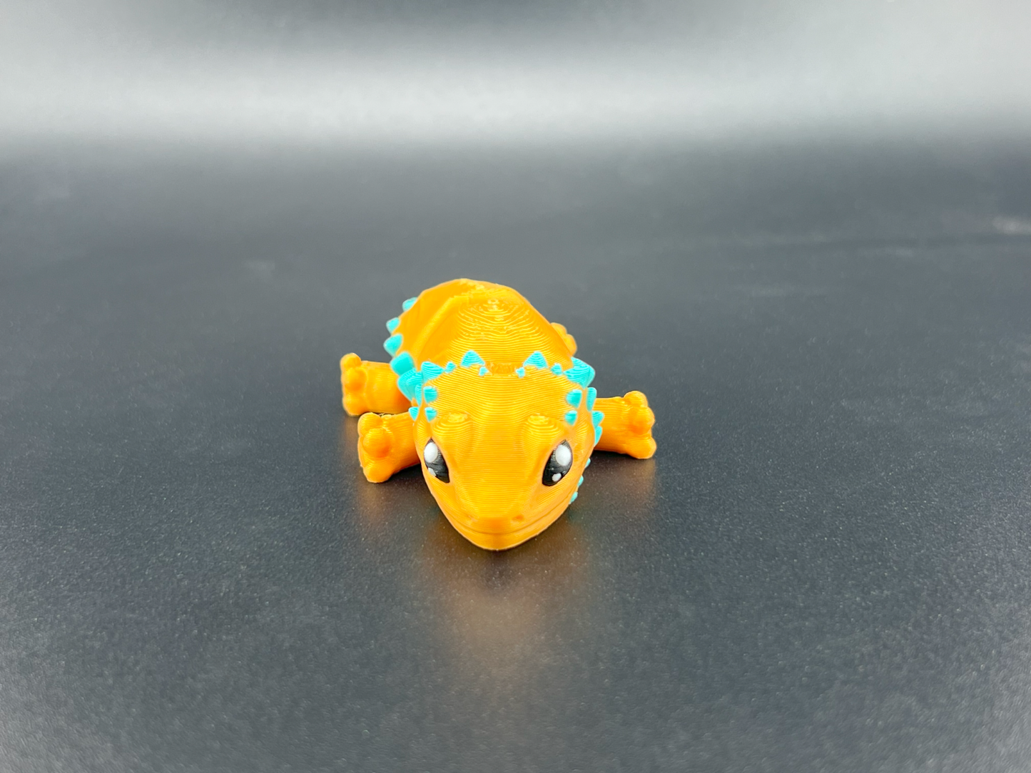 Bearded Dragon