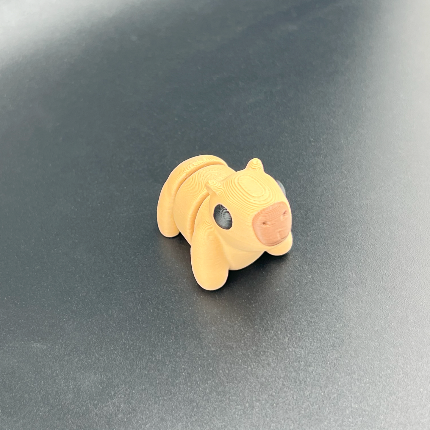Capybara